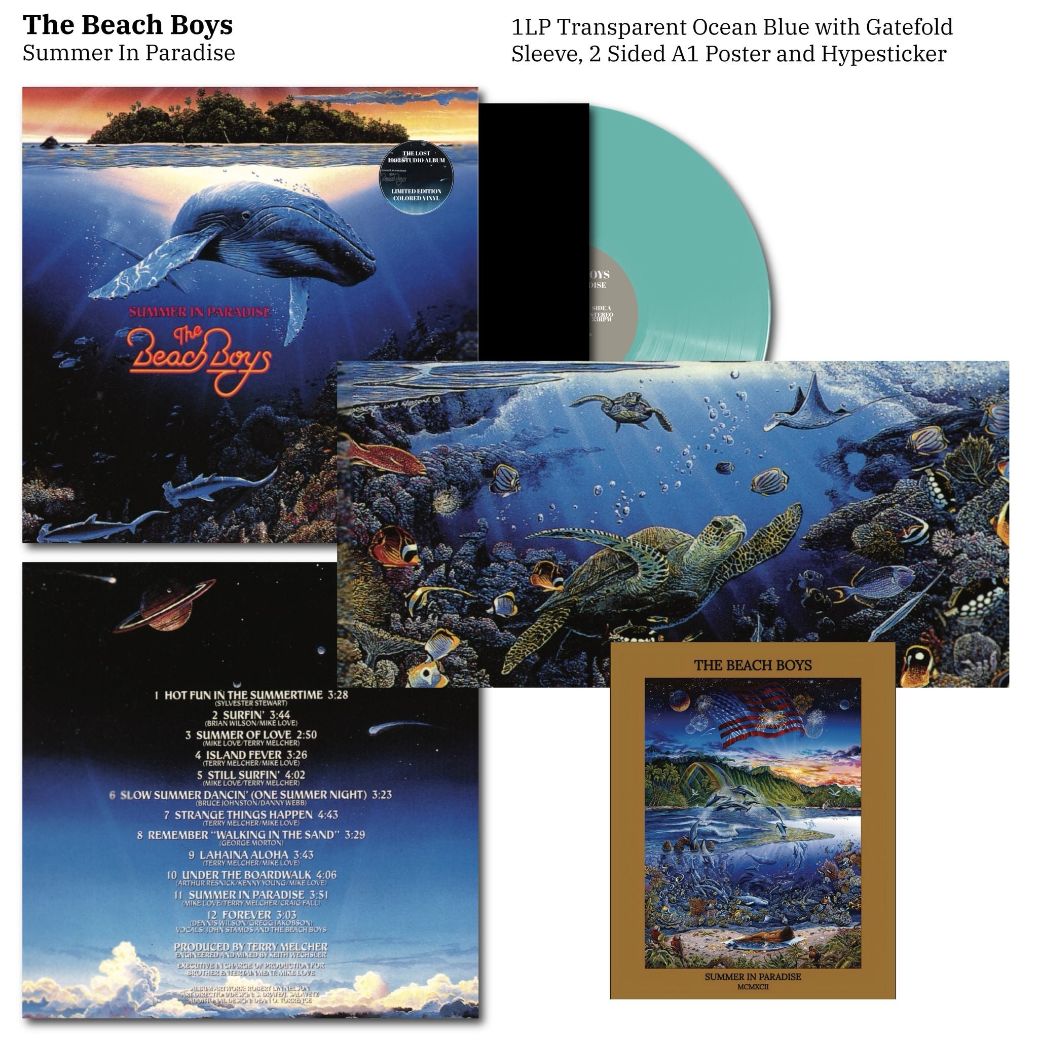 The Beach Boys - Summer in Paradise Vinyl